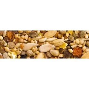 Teurlings Euro-Top Grote Parkiet