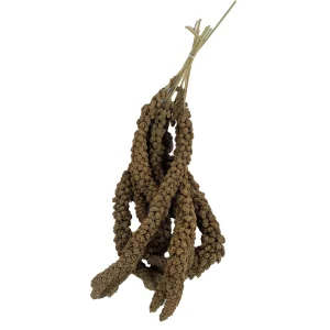 Trosgierst | De Vries | 1 KG