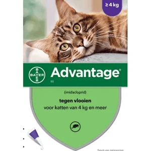 Bayer Advantage 80 Kat (preventief en curatief tegen vlooien)