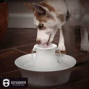 Drinkwell® Avalon Pet Fountain – 2 L