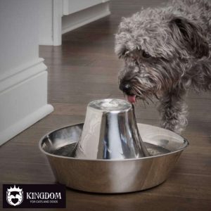 Drinkwell® Seaside Stainless Steel Pet Fountain
