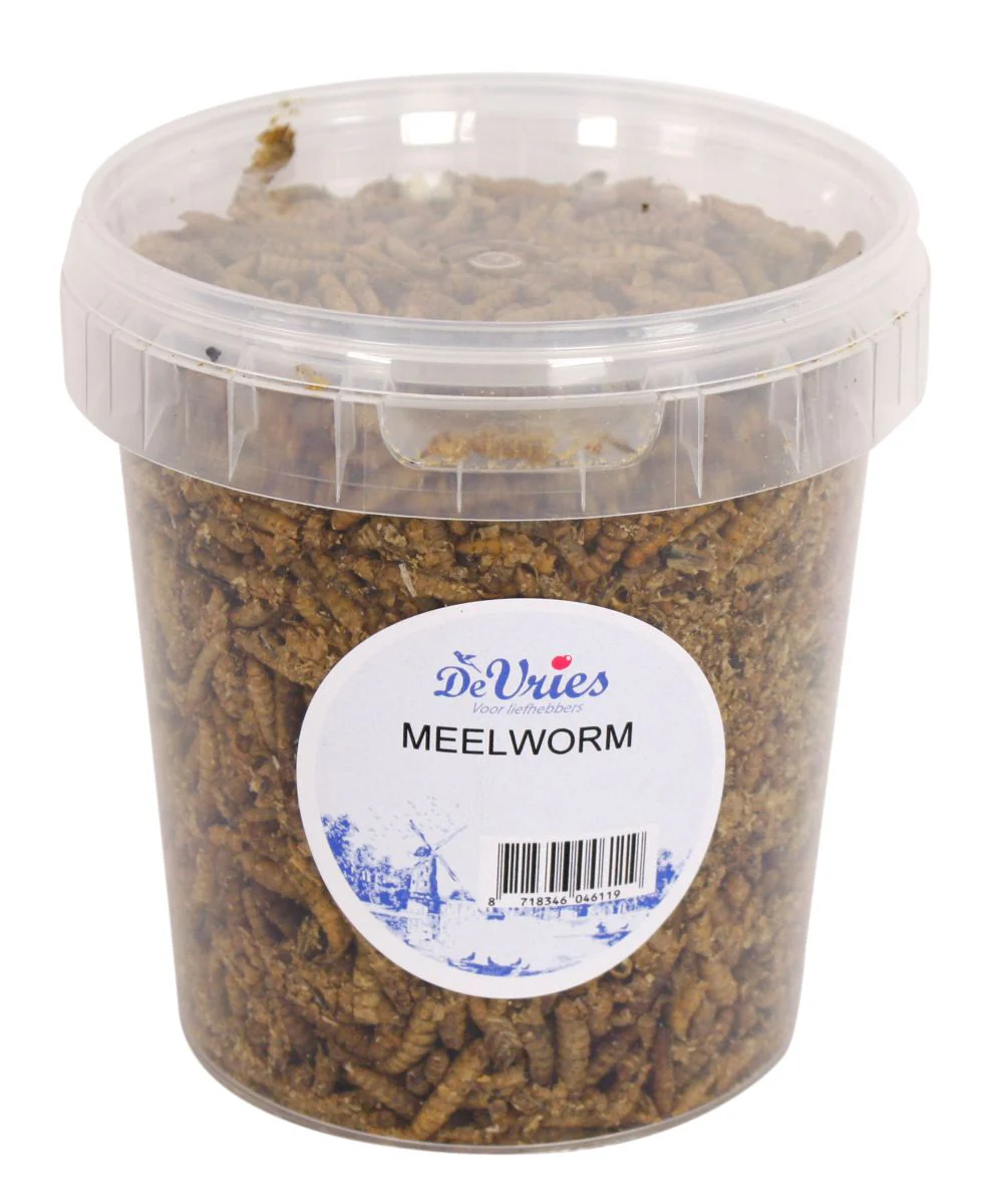 Meelworm Black Soldier Fly | De Vries | 120, 450 GR of 5 KG - Afbeelding 4