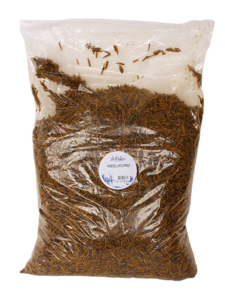Meelworm Black Soldier Fly | De Vries | 120, 450 GR of 5 KG - Afbeelding 5