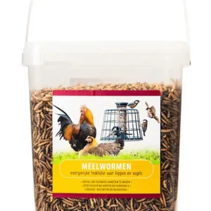 Voerwaarts Meelwormen (aanvullend diervoeder)