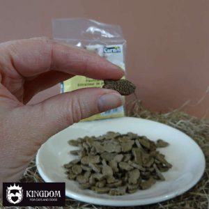 Carnis Vis snoepjes/trainers