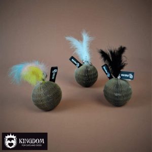 District70 GLORY katten speelbal