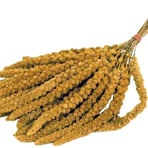 Trosgierst voor Vogels| 15 KG