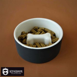 PAIKKA Cool Slow Feed Bowl M (Ø15cm)