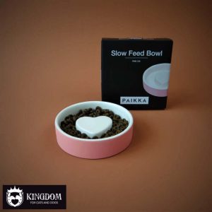 PAIKKA Cool Slow Feed Bowl XS (Ø13cm)