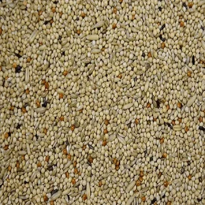 Vogro Grasparkietenzaad (volledig diervoeder)