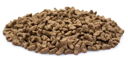 Premium Kat Anti-Struvite – 2 kg - Afbeelding 2