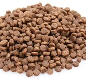 Premium Kat Graanvrij Kip – 10 kg