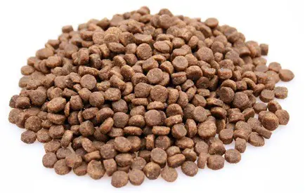 Premium Kat Graanvrij Kip – 2 kg