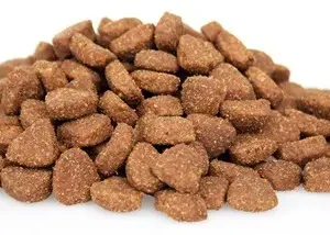 Premium Kat Large (XL) – 2 kg