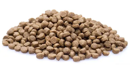 Premium Kat Senior – 2 kg