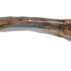 Herten dinobot