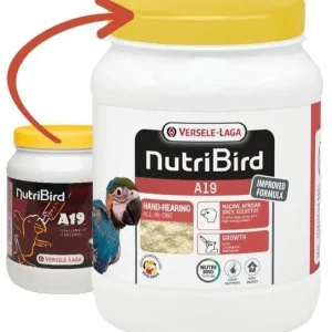 NutriBird A19