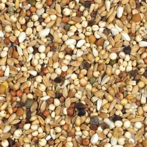 Vanrobaeys (Nr. 26) Dieet Extra