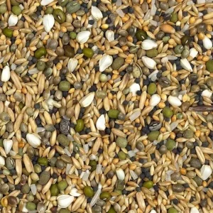 Vanrobaeys (Nr. 27) Snoepmengeling