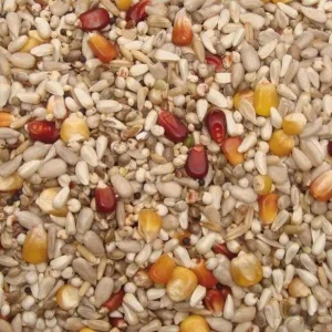 Vanrobaeys (Nr. 35) Top Energy