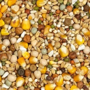 Vanrobaeys (Nr. 4) Vlucht gele Cribbs maïs