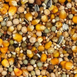 VanrobaeysKweek (Nr. 19) Vlucht Standaard